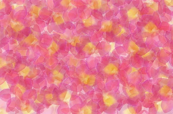 Flores abstractas —  Fotos de Stock