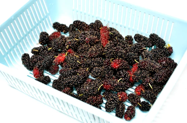 Mulberries — Stock Photo, Image