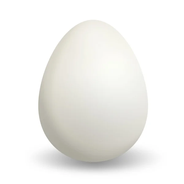 Anka ägg — Stockfoto