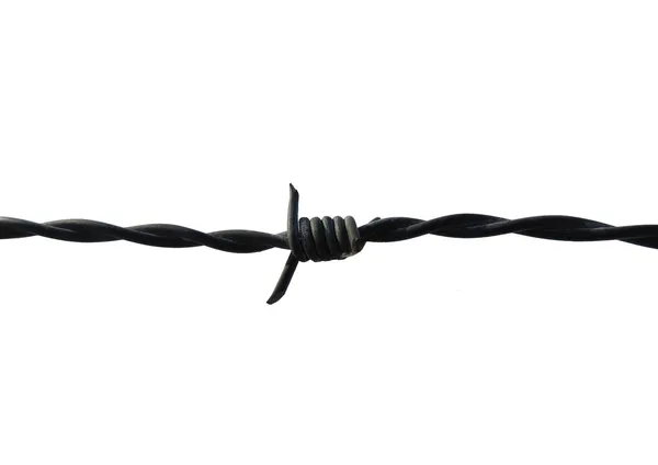 Barb Wire — Stock Photo, Image