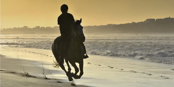 Jinete galopando a caballo por la playa — Foto de Stock
