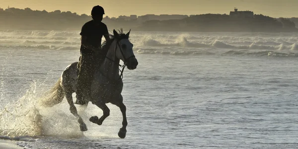 Jinete galopando a caballo por la playa — Foto de Stock