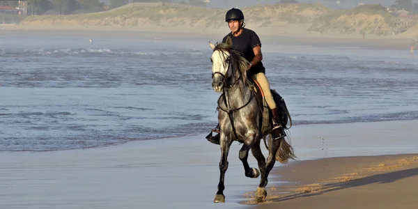 Rider galloping on horseback along the beach — Stock Photo, Image