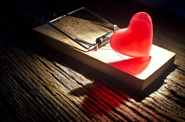 Ratones trampa del corazón —  Fotos de Stock