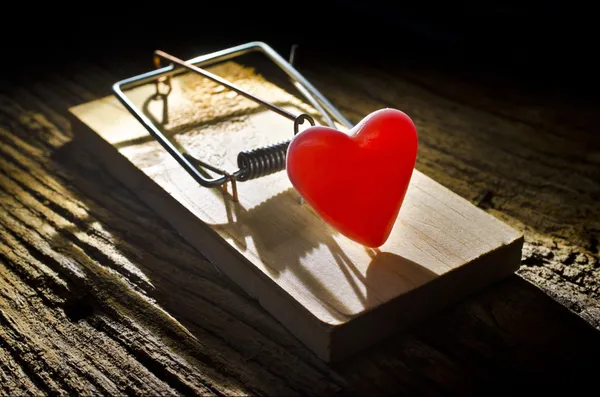 stock image Heart mouse trap