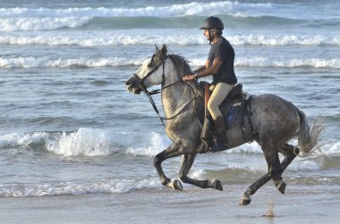 Rider galloping on horseback along the beach clipart