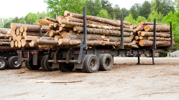松树木材堆放在拖车在等待装运木材围场上 — 图库照片