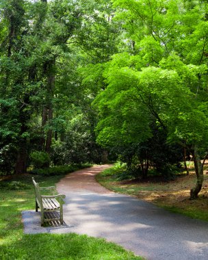 Bahar sırasında yol boyunca Park bankında