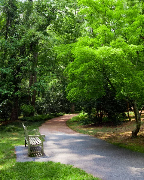 Park bench along trail during spring — Stock Photo, Image
