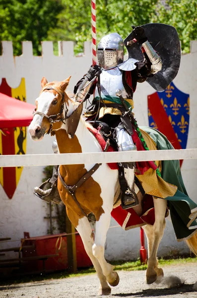 Knight in action — Stock Photo, Image