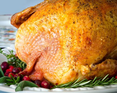 Roasted turkey stuffed with cranberries and herbs for Thanksgiving or Christmas dinner clipart