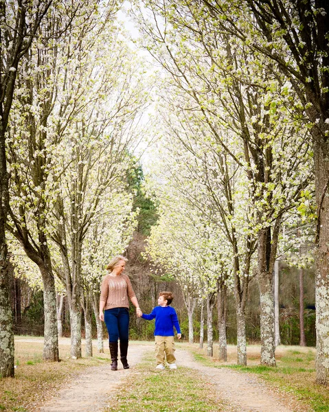 Matka i syn w parku na wiosnę z kwitnących drzew — Zdjęcie stockowe