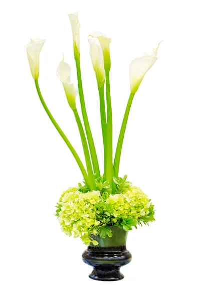 Wedding flower arrangement centerpiece with calla lily and green hydrangea in an urn isolated on white — Stock Photo, Image