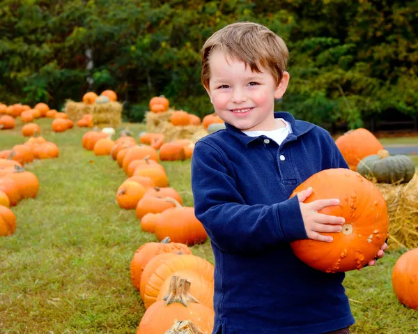 Gelukkige jongen plukken een pompoen voor halloween — Stockfoto