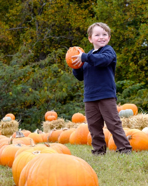 Šťastný chlapec výdeje dýně na halloween — Stock fotografie