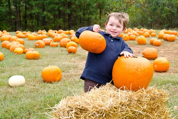 Joyeux jeune garçon cueillant une citrouille pour Halloween — Photo