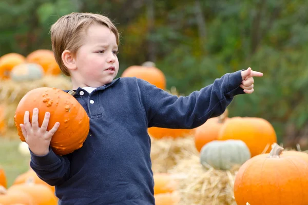 Happy young boy picking a pumpkin for Halloween — Stock Photo, Image