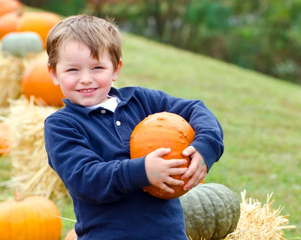 Szczęśliwy młody chłopak zbieranie dyni na halloween — Zdjęcie stockowe