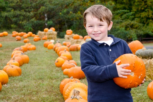 Feliz niño recogiendo una calabaza para Halloween —  Fotos de Stock