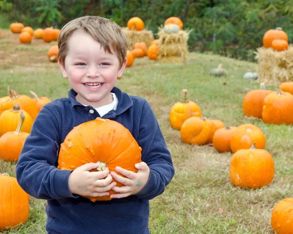 Szczęśliwy młody chłopak zbieranie dyni na halloween — Zdjęcie stockowe