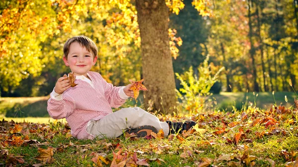 Outono ou Outono retrato de jovem, menino pré-escolar no parque — Fotografia de Stock