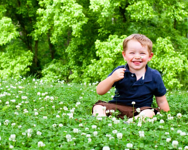 Wiosną lub latem portret ładny młody chłopiec bawi się kwiat na zewnątrz w polu koniczyny. — Zdjęcie stockowe