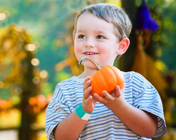 Счастливый мальчик, собирающий тыкву на Хэллоуин — стоковое фото
