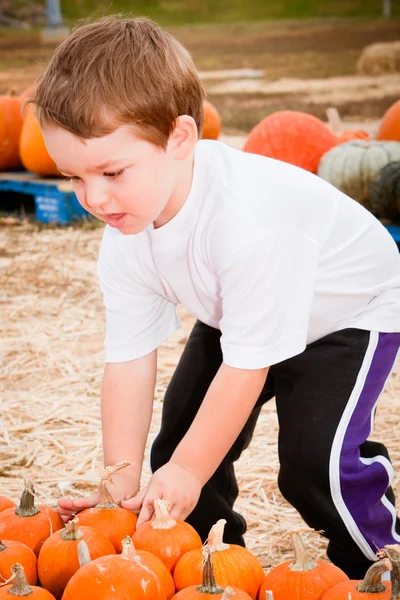 Giovane ragazzo raccogliendo una zucca per Halloween — Foto Stock