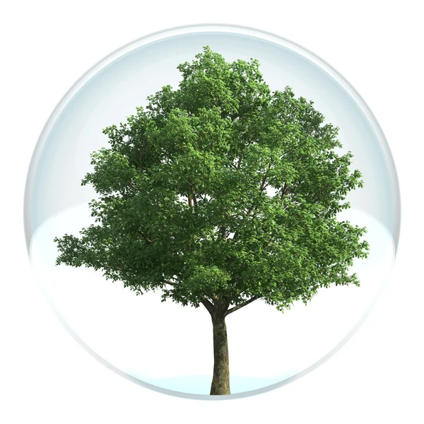 Träd i en bubbla — Stockfoto