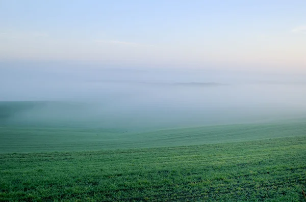 Холмы в тумане — стоковое фото