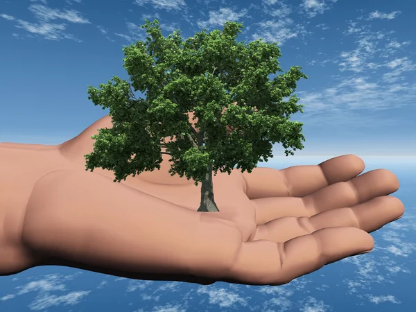 Trädet i handen — Stockfoto