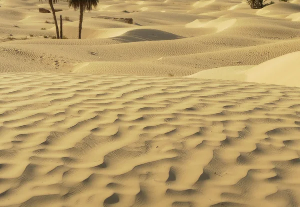 Zand in de woestijn — Stockfoto