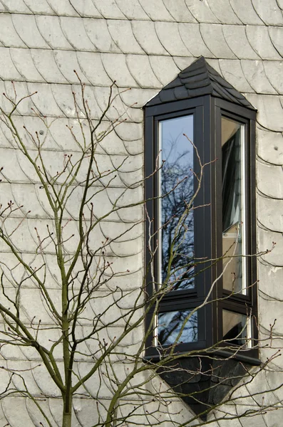 Das Fenster und der Baum — Stockfoto