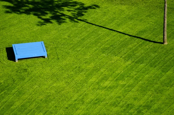 O gramado verde — Fotografia de Stock