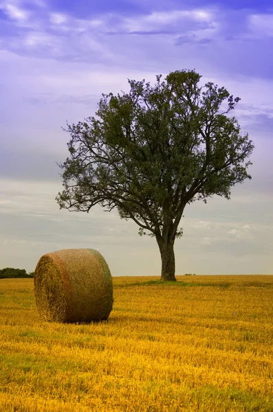 Strohballen und ein Baum — Stockfoto