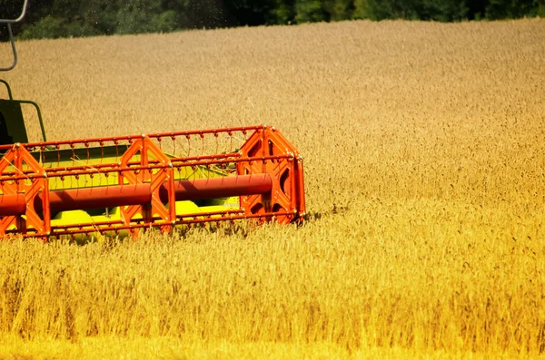 De harvester op het veld — Stockfoto