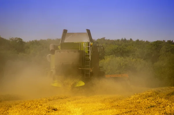 Combine harvester reaps the corn — Stock Photo, Image