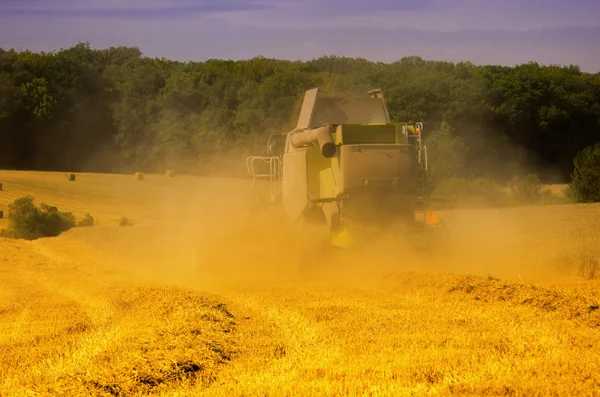 The combine harvester in the field — Stock Photo, Image
