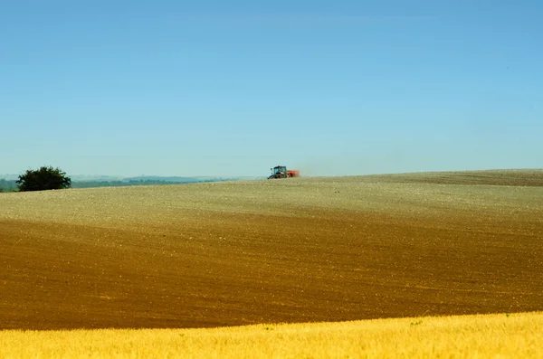 The tractor in the fields — Stock Photo, Image