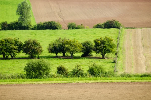 Prados e campos verdes — Fotografia de Stock