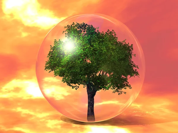The green tree in the bubble — Stock Photo, Image
