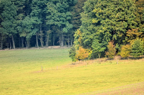 Weiden en bossen in de herfst — Stockfoto