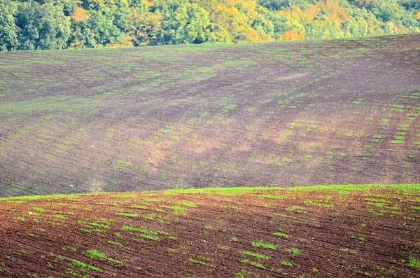 Przygotowanie pola jesienią — Zdjęcie stockowe