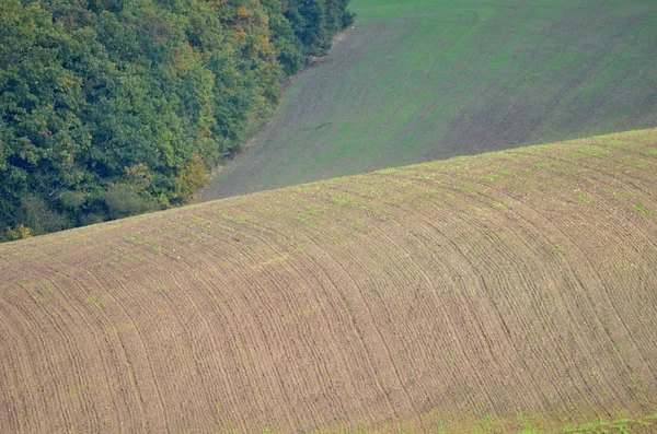 The fields and hills — Stock Photo, Image