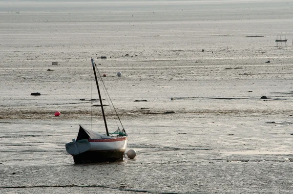 Båten vid lågvatten — Stock fotografie