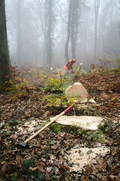 O lenhador e a floresta — Fotografia de Stock