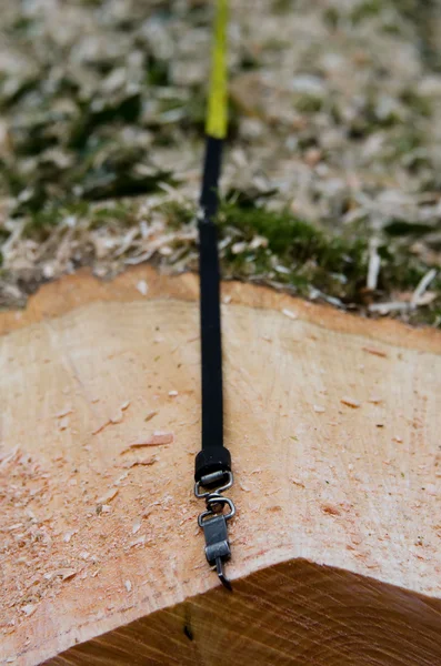 Medido en metros cúbicos de un árbol — Foto de Stock