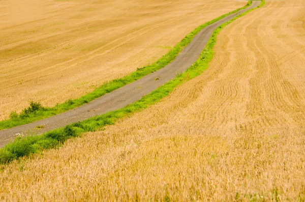 De weg van velden — Stockfoto