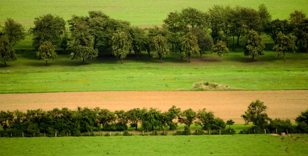 Felder und Wiesen — Stockfoto