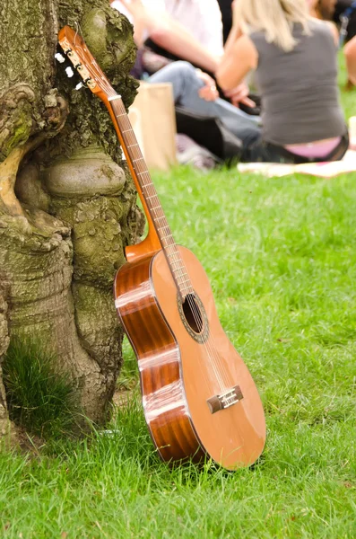 Gitarr och festival — Stockfoto